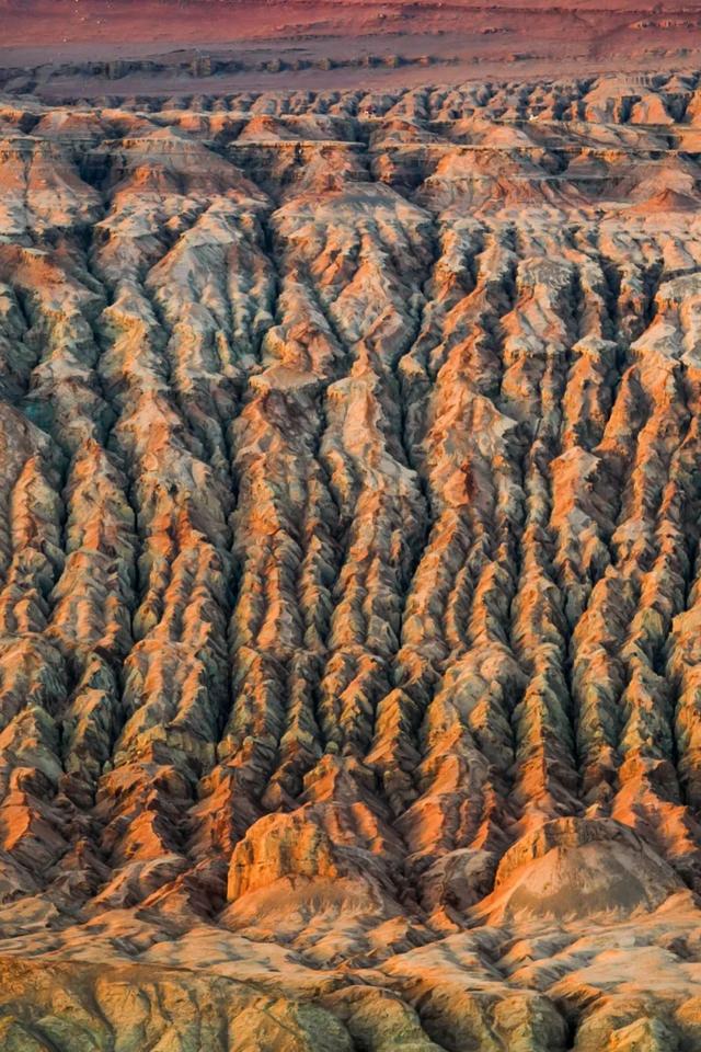 中国四大火炉，2020中国四大火炉（中国四大火炉城市）