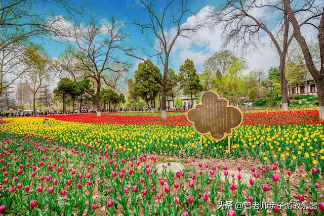 西安汉城湖公园，西安汉城湖景区景点介绍（2023西安旅游值得去的30个景区大全）