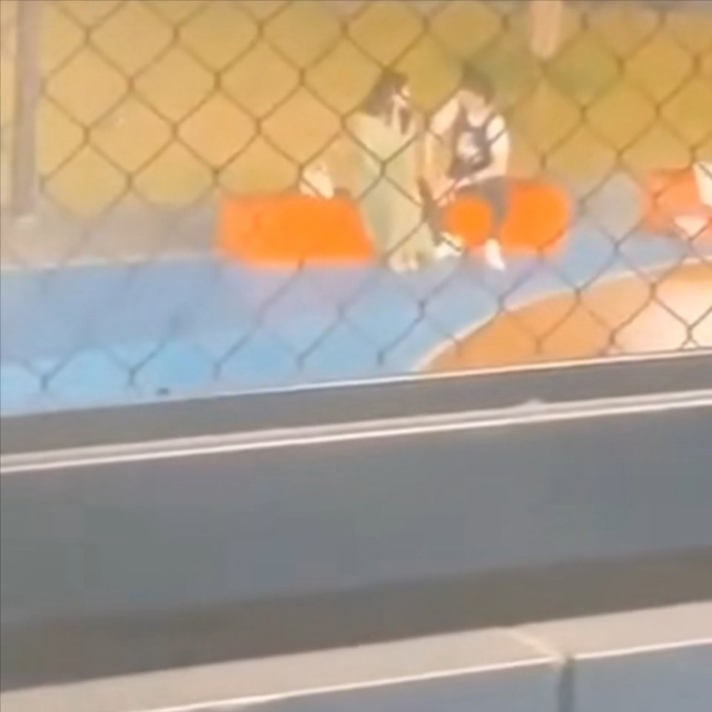 冬凌草的功效与作用，冬凌草片的功效与作用（跟胡军陈建斌合作《黑土无言》即将播出）