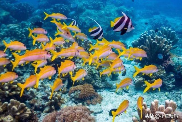 有海的地方哪个比较适合旅游，海边去哪里旅游最好（海岛旅行度假首选）