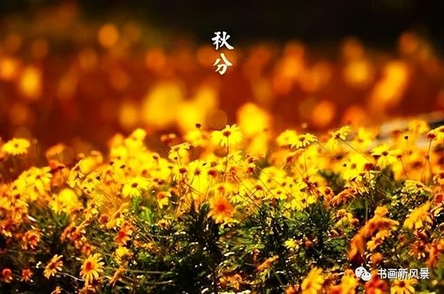 二十四节气 秋天，秋分