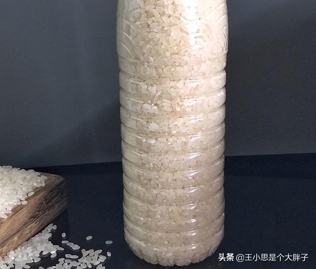 大米生虫子处理小诀窍，大米生虫子处理小诀窍是什么（米行老板教你5招）