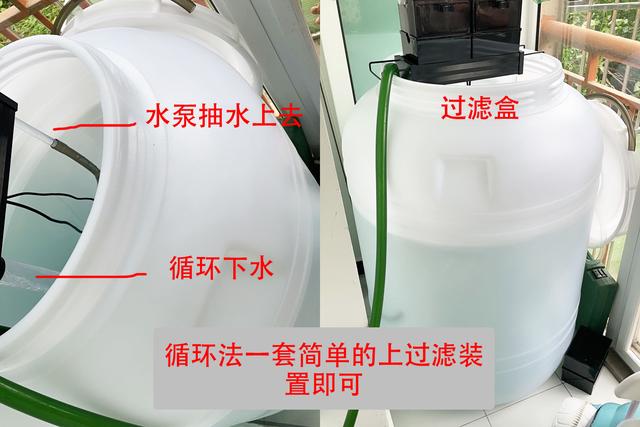 鱼缸水泵的正确使用方法，鱼缸潜水泵怎么用（自来水养鱼快速除氯气）