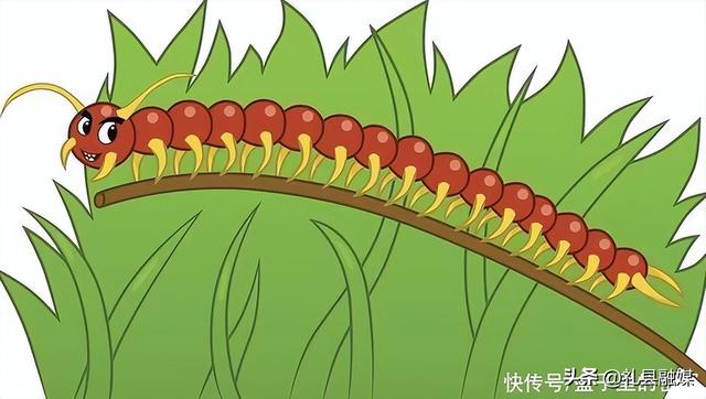 蜈蚣和蛇的毒哪个厉害，为什么身为五毒之一的蜈蚣