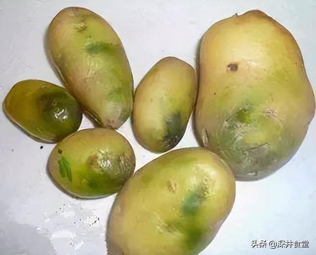 发绿的土豆能吃吗，土豆放的时间长了发绿了（菜农教你4招挑选土豆）