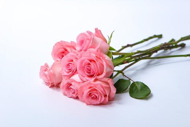 7朵玫瑰代表什么，7朵玫瑰代表什么意思（你会给谁送礼物呢）