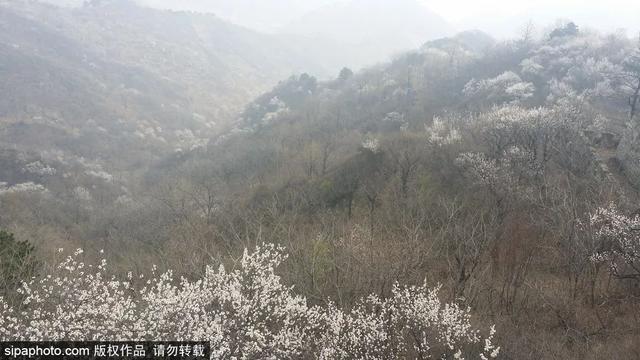 北京可参观的影视基地，开启春日京城“电影之旅”