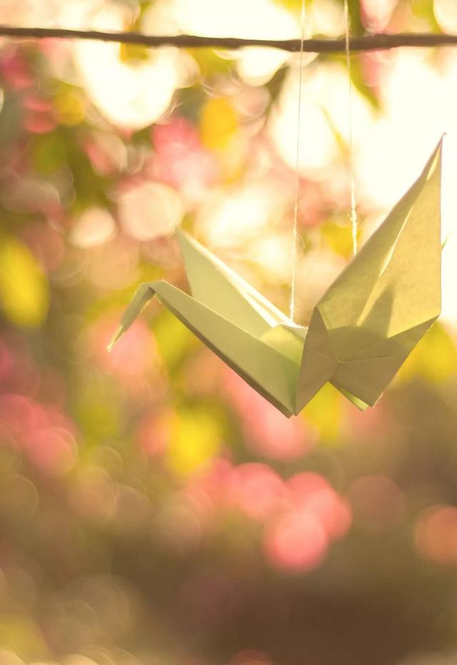 老舍原名叫什么名字，老舍原名是什么（茅盾不姓茅，巴金也不姓巴）