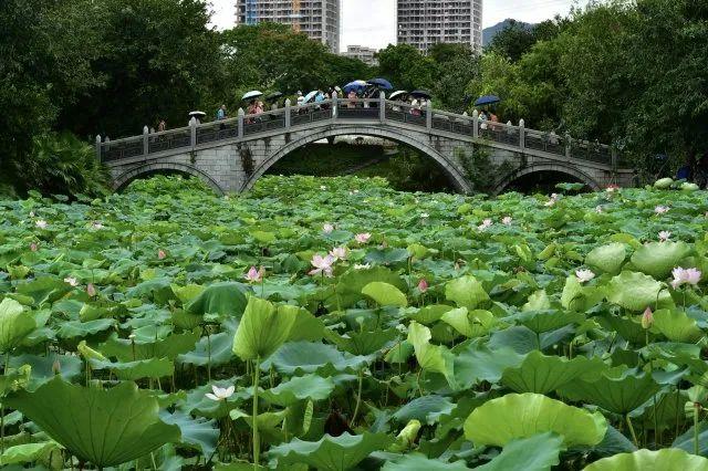 深圳义乌小商品城（深圳罗湖）