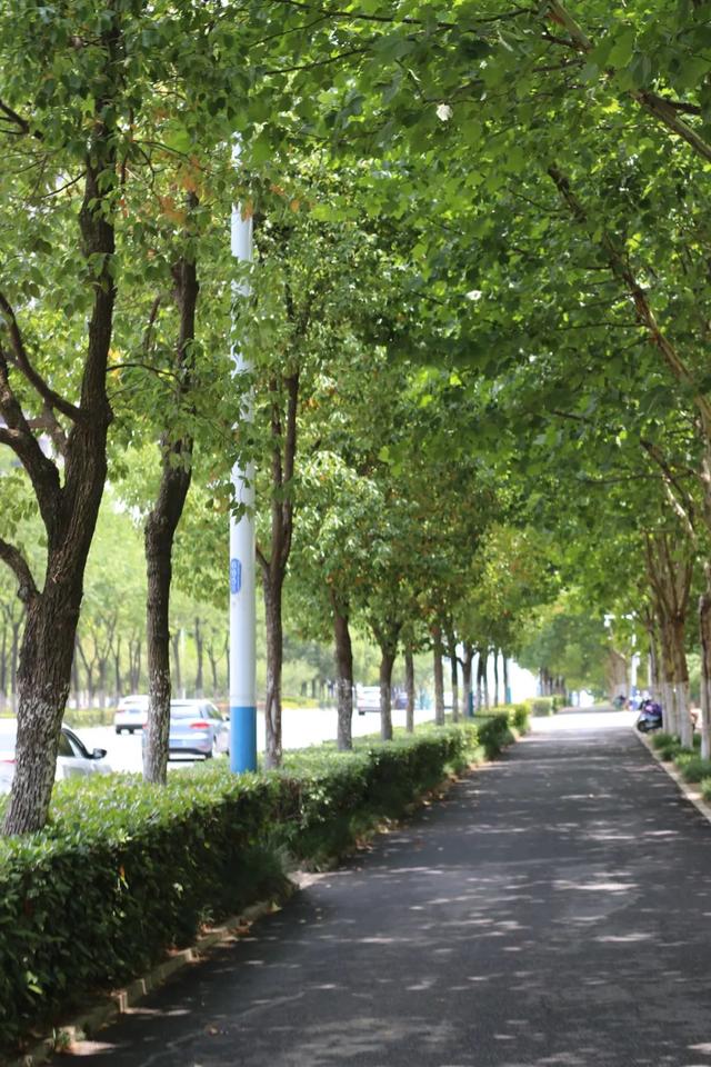 合肥汽车客运西站，合肥汽车客运西站停运了吗（我用了17个关键词总结）