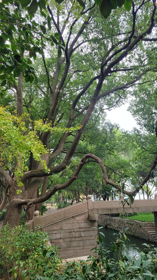 苏州太湖旅游景点，江苏无锡市太湖区旅游景点（苏州太湖岸边的风景园林——东山启园）