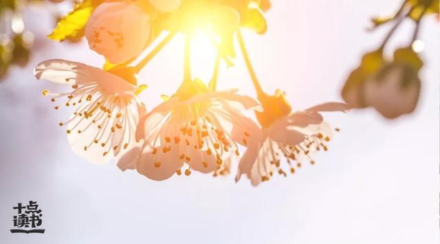 人生如梦下一句，人生如梦的下一句是什么（读读苏东坡这10句话）