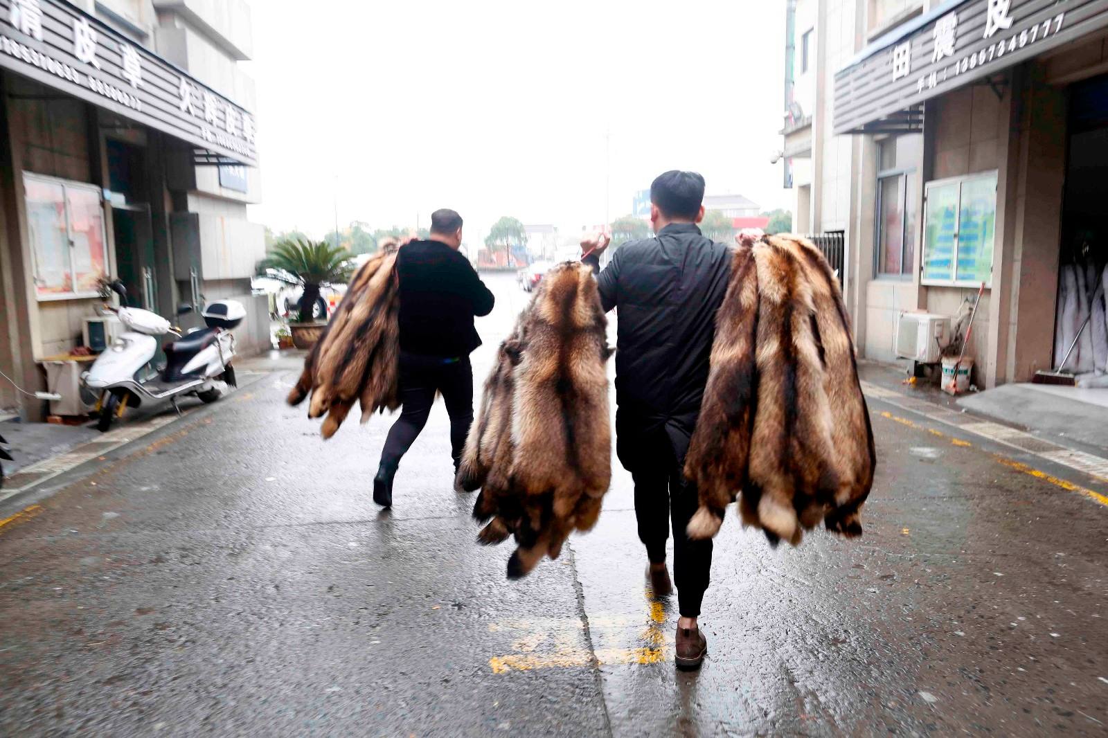 2万只黄鼠狼,皮肉都卖掉,被罚款960万,为啥这么贵