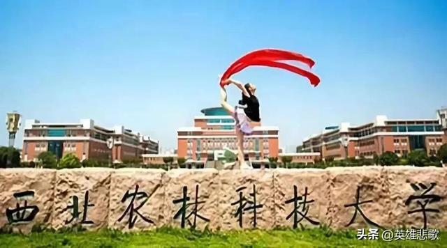 西北农林科技大学是211大学吗，西北农林科技大学和211（是不是985高校中凑数的）