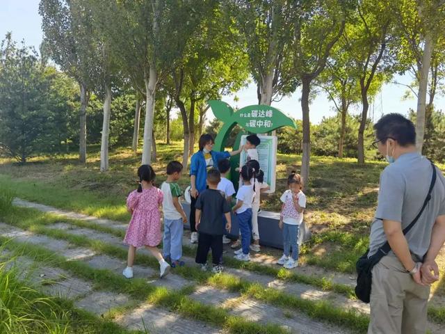 民众镇有什么好玩的，民众镇旅游景点（刘庄公园里新增的宝藏打卡地）