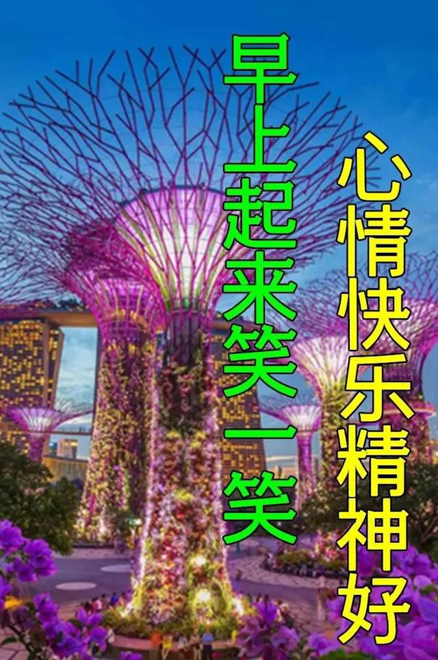 未来可期的唯美句子，未来可期下一句怎么接（早安祝您安康快乐）