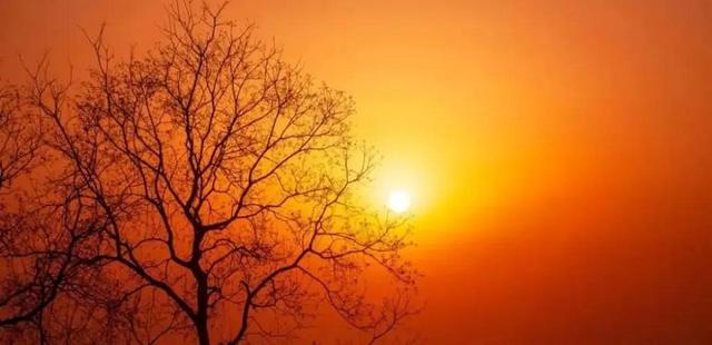 翛然什么意思，翛字怎么读?什么意思（修养篇：生活情趣<2>）