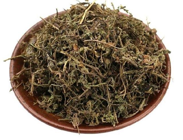 鹅不食草的功效与作用，鹅不食草的功效与作用,鹅不食草的副作用（农村有种草药叫“鹅不食草”）