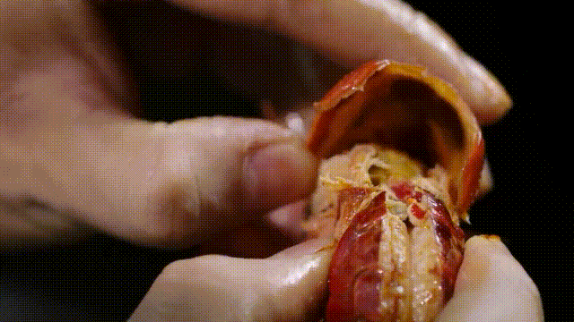 小龙虾属于海鲜类吗，小龙虾是海鲜吗（龙虾：从小龙虾到大花龙）