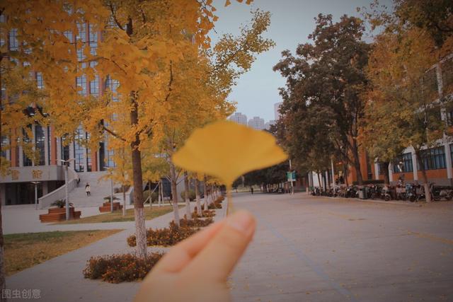 河南有几所985211大学，河南985211大学有哪些（4所学院或晋升为大学）