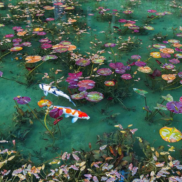 温柔的图片唯美，ins温柔唯美治愈系背景图，微信头像（生活明朗 万物可爱）