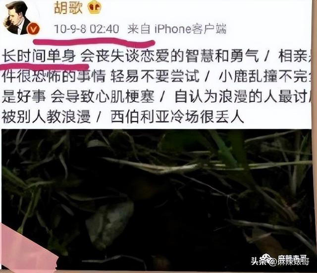 杨幂和胡歌现在关系如何，再回顾下他和薛佳凝、杨幂、江疏影的爱情故事