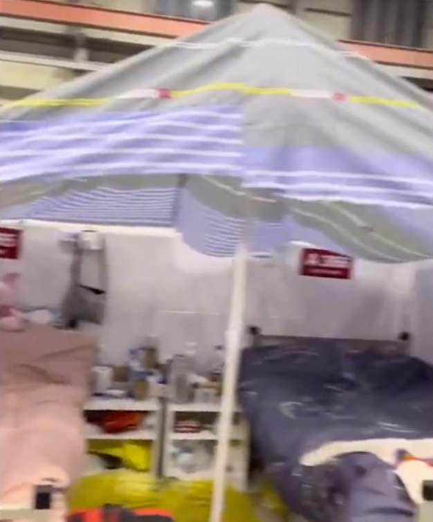 床上四件套指的是哪四件，女子自带温馨四件套（床上四件套哪个品牌质量好些）