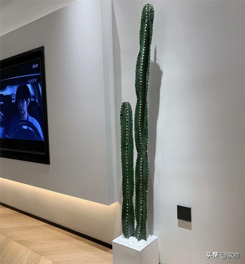 极简风格,现代风格的客厅中,经常能见到用量天尺来进行装饰的身影,把