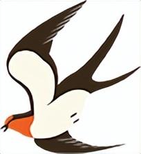 二八月乱穿衣的解释，二八月乱穿衣的解释怎么说（重庆特产“乱穿衣现象”）