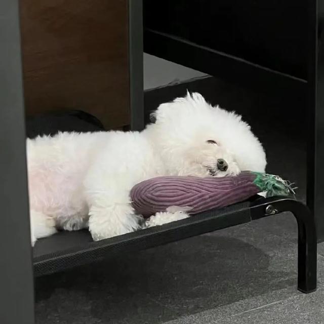 浪漫少女，微信头像，浪漫少女（微信头像：54张，女生头像）