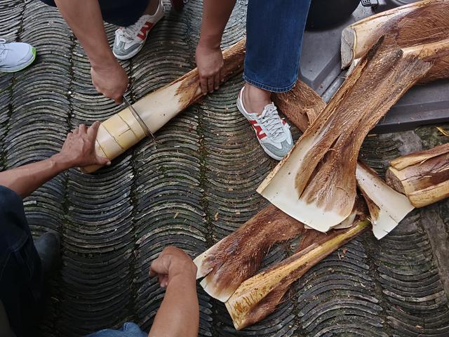 云南棕树的美食，茶马古道，情有独“棕”的美食