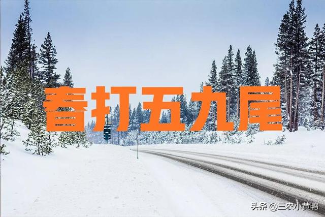 春打五九尾是指什么，二月倒春寒”能预兆