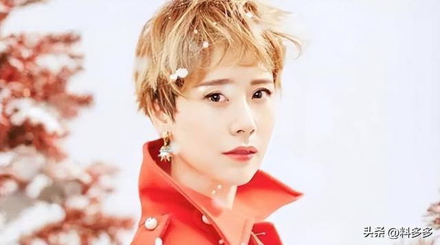 黄磊有哪些学生，海清是黄磊最成功的学生吗