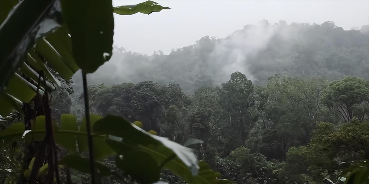 世界上最大的岛屿(格陵兰岛是一个国家吗)插图(3)