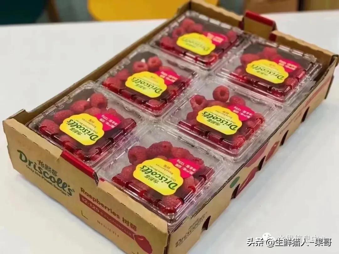 浆果是什么，浆果是什么软件（不同水果的不同包装<浆果篇>）