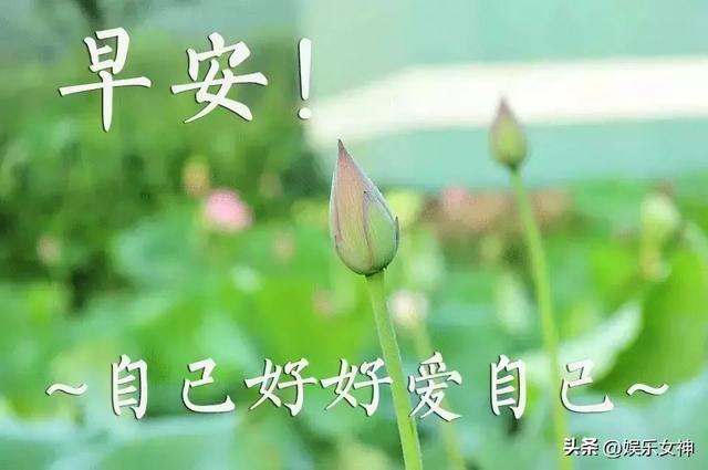 形容清晨美好的句子，形容清晨的词语（最新早上好暖心祝福大全）