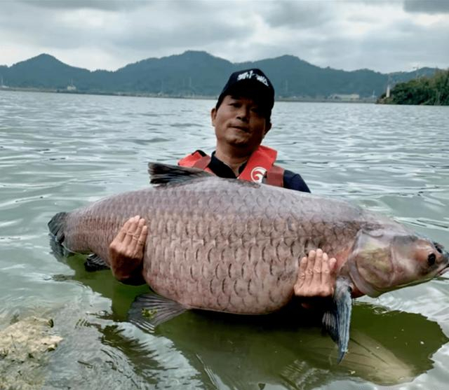 網絡用語釣魚啥意思,網絡用語釣魚是什麼(品讀釣魚領域的這幾個流行