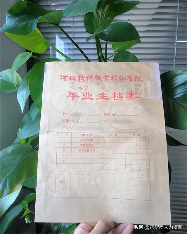 学位证书丢了怎么补，学位证书丢了怎么办（毕业生档案丢了找不到需要补哪些材料）