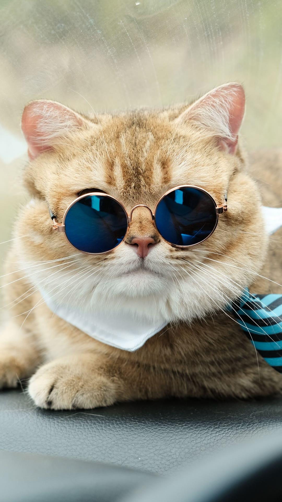 毕业论文致谢词，毕业论文致谢词800字（毕业论文致谢-把所有温柔都留给最想感谢的人）