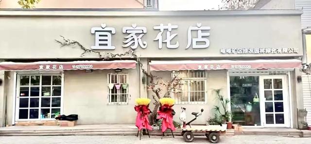 澳洲杉,新年的仪式感从逛花市开始(澳洲杉怎么修剪) 澳洲杉,新年的仪式感从逛花市开始(澳洲杉怎么修剪)