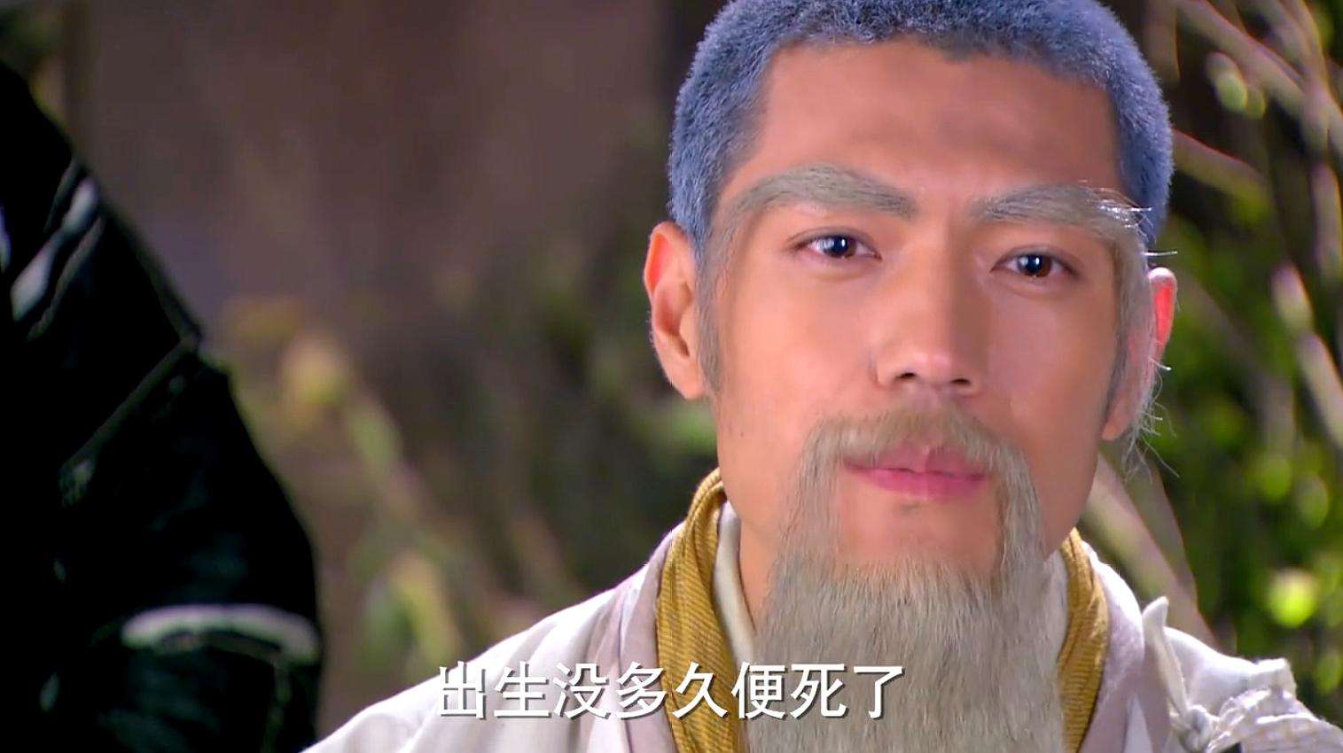 南帝段智兴,东邪黄药师和老顽童周伯通深以为然,于是主动请命,要火烧