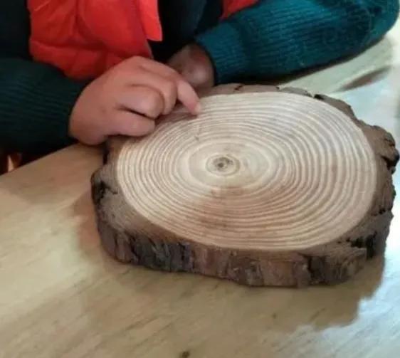 什么是植物，什么是植物染发（简单来认识植物）