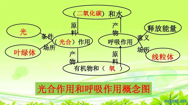 早上锻炼的9个好处，早上锻炼的9个好处有哪些（早上运动与傍晚运动）