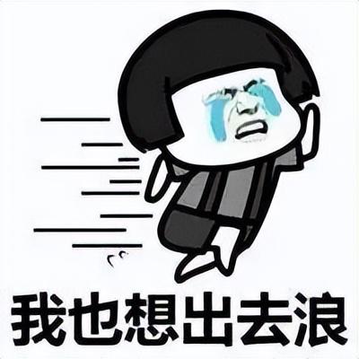网页视频怎么下到本地（网页中的视频保存到本地方法）