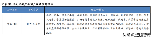 登海种业是做什么的，登海种业是做什么的呀（开创杂交玉米高产之路）