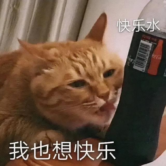 沙雕谐音梗能有多好笑？没十年脑血栓想不出来…