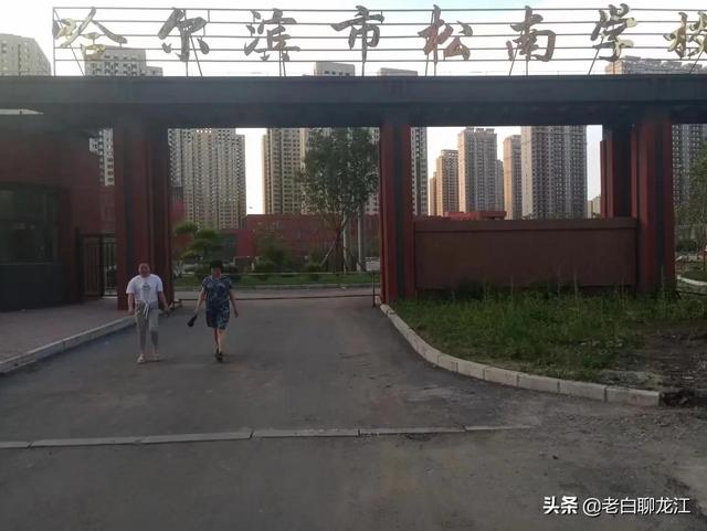 哈尔滨群力湿地公园，群力新区十一大公园