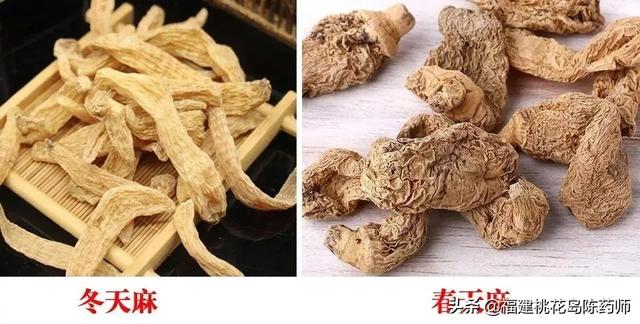 降压最好的中药，降血压最好的中成药（24味平肝中药的性味与功效）