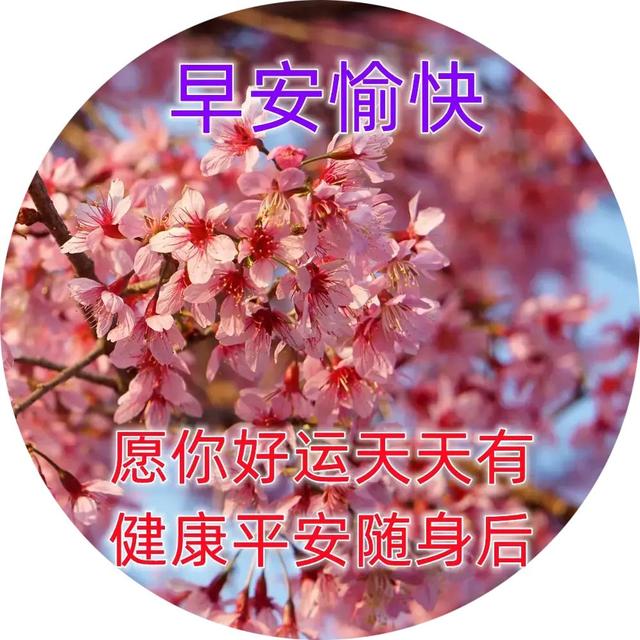 03年属什么生肖，03年属什么（2023年04月03日）