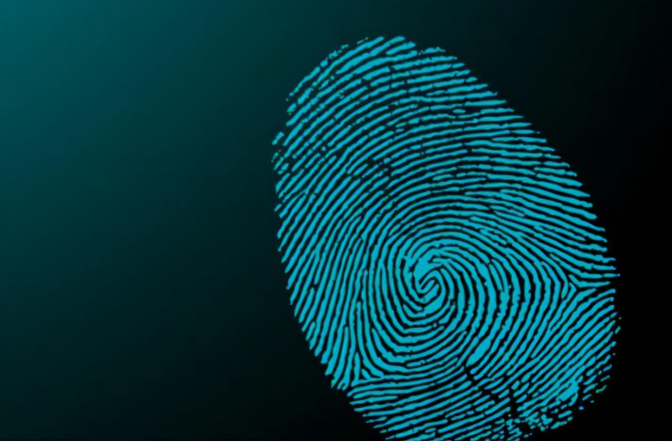 指纹能看相?民间说"一斗穷二斗富",你知道康熙有几个"斗"吗